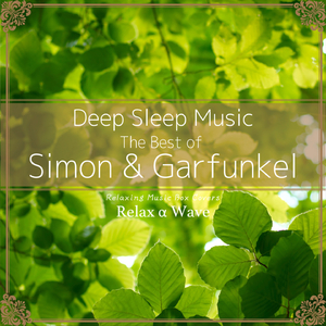 美国摘花XXXX视频
