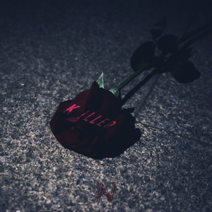 美国摘花XXXX视频
